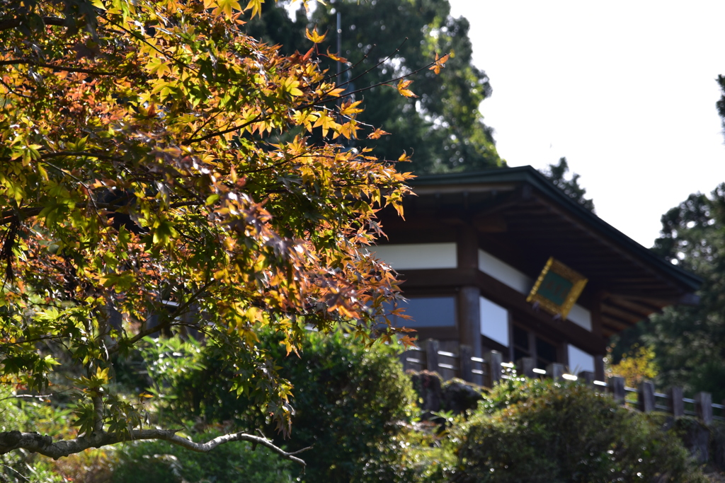 若狭瓜割名水公園　庭園