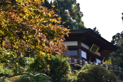 若狭瓜割名水公園　庭園