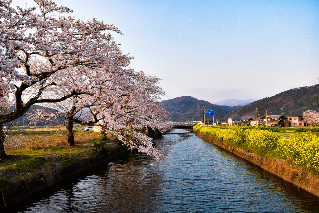 春の小川