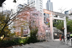 乃木神社