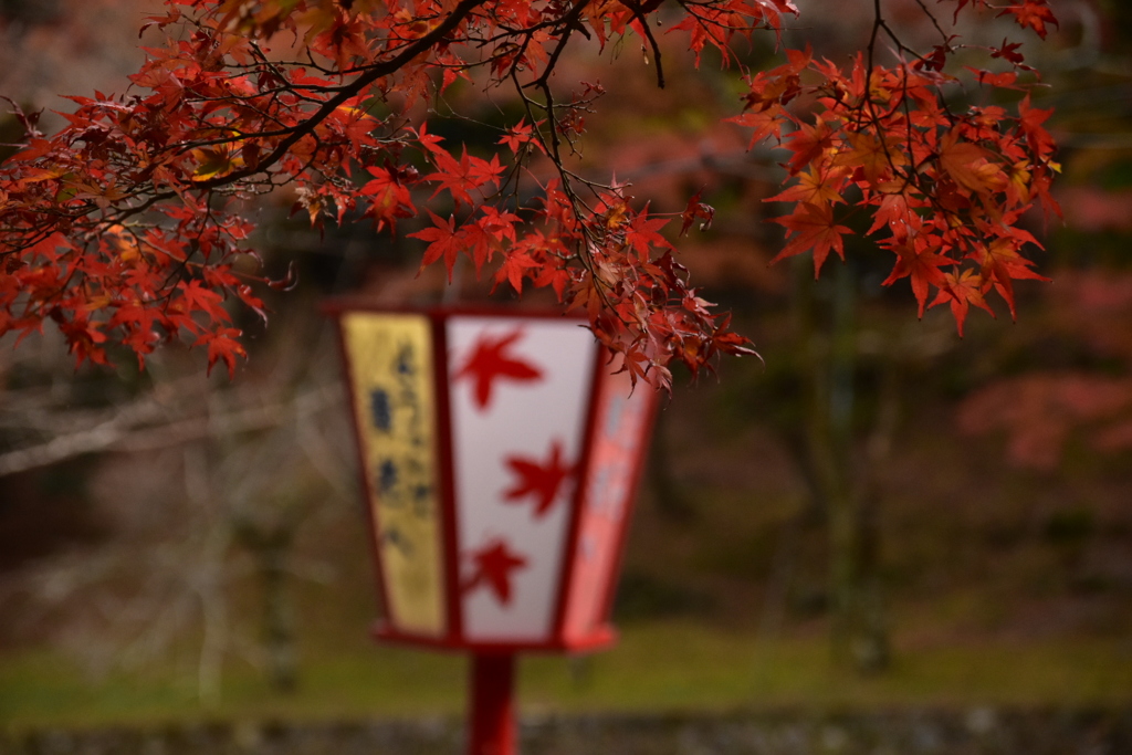 養老公園