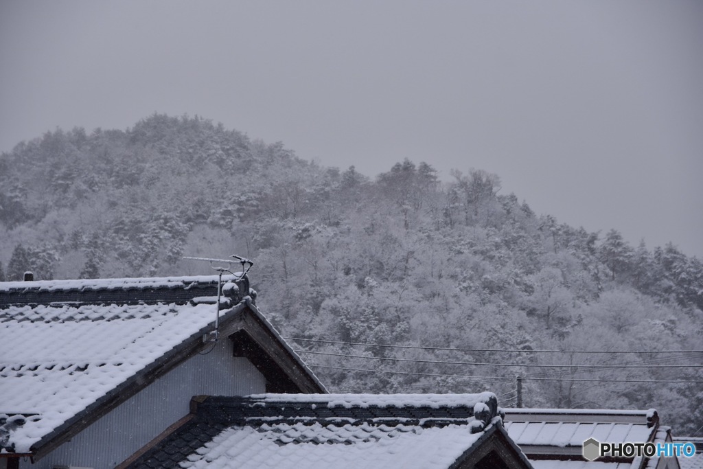 今季初積雪