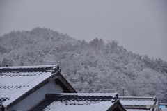 今季初積雪