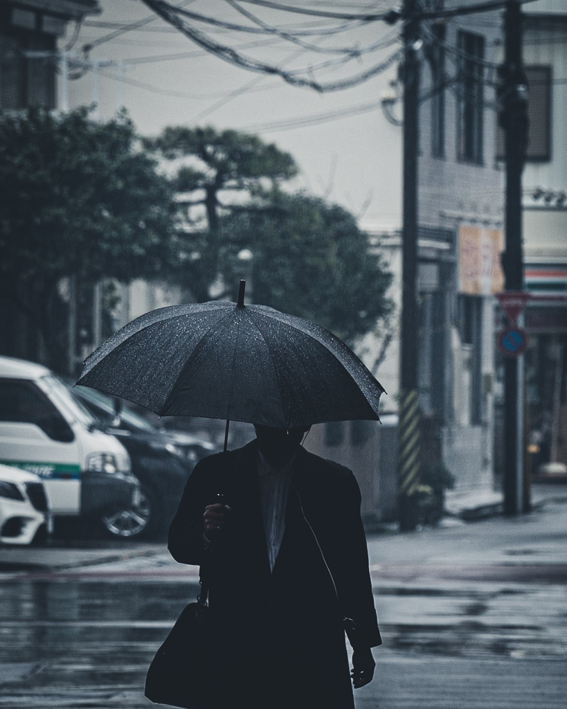 昼雨は良いですね。