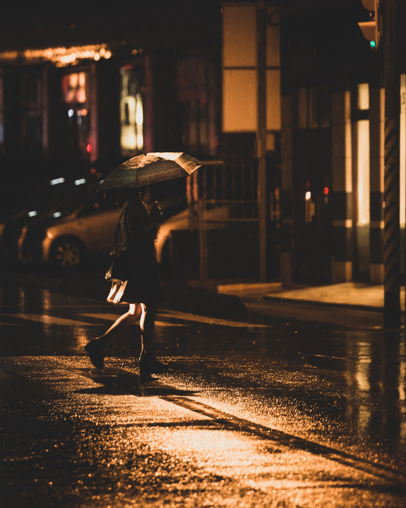 夜雨(よるさめ)