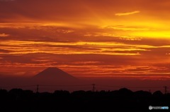 _IGP9687