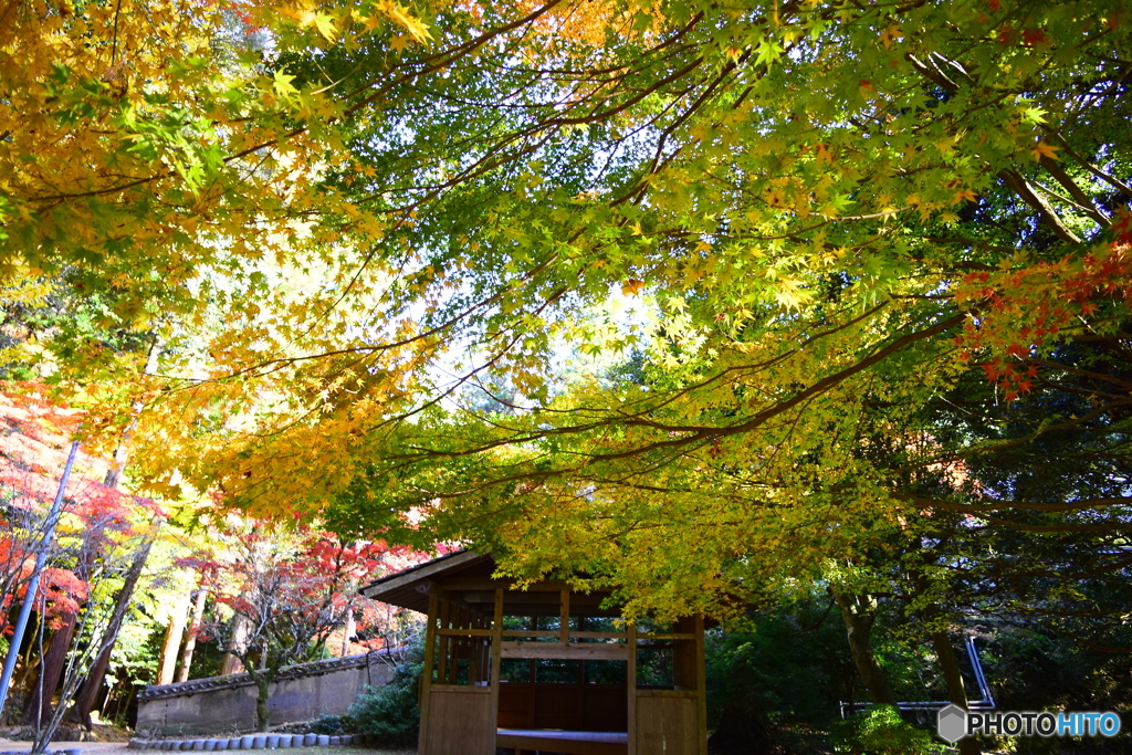 書写山圓教寺24