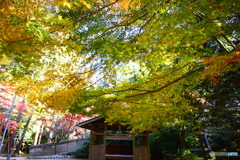 書写山圓教寺24