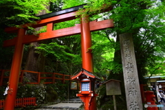 春の貴船神社