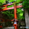 春の貴船神社