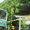 御霊神社と江ノ電