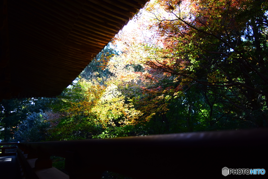 書写山圓教寺16