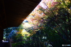 書写山圓教寺15