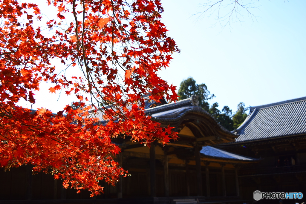 書写山圓教寺13