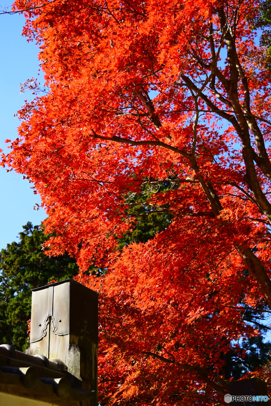 書写山圓教寺5