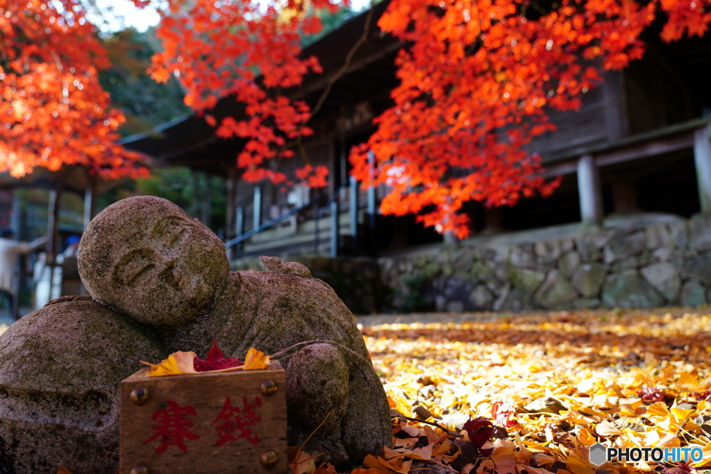 大國寺の椛