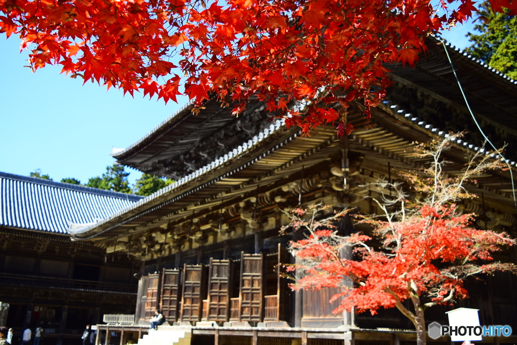 書写山圓教寺12