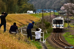 三江線のお仲間たち