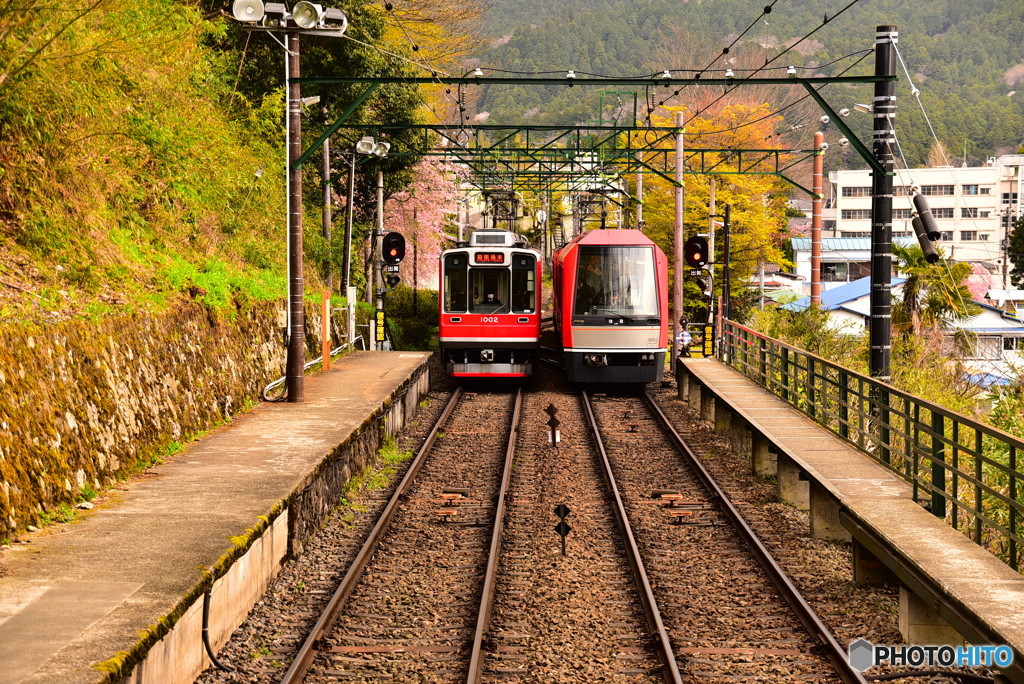 箱根登山鉄道上大平台信号場　同時入線