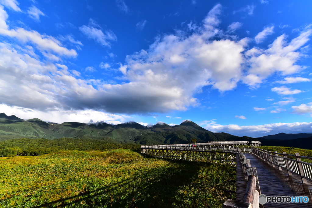 知床遊歩道