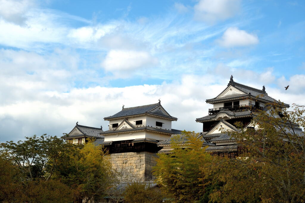 秋の予感…松山城