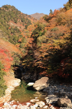 秋のにおい