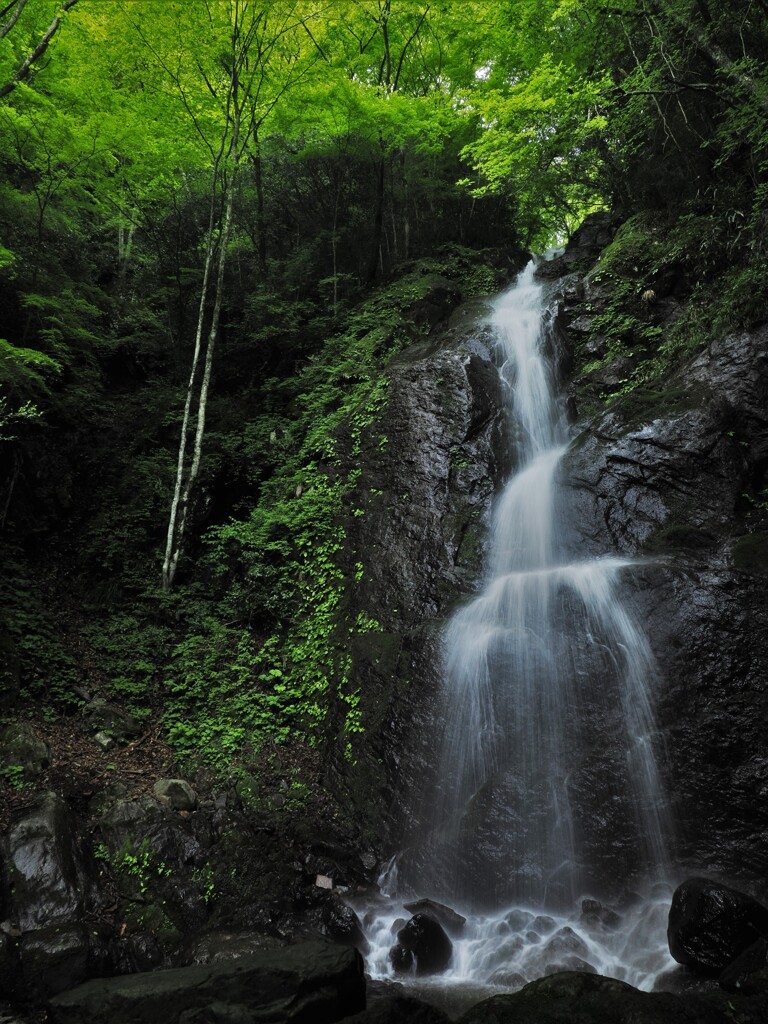 新緑の滝