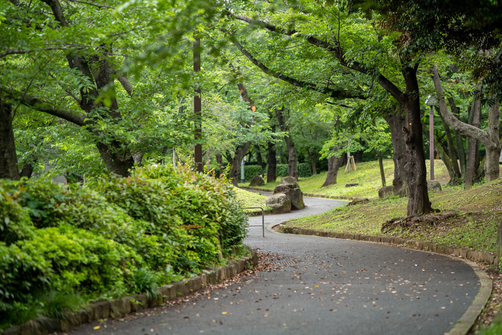 飛鳥山公園にて