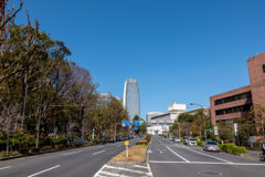 芝公園裏