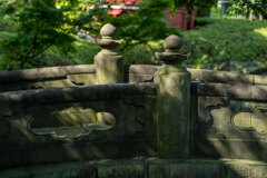 bridge