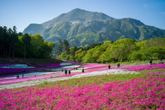 羊山公園