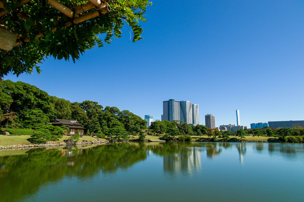 浜離宮恩賜庭園