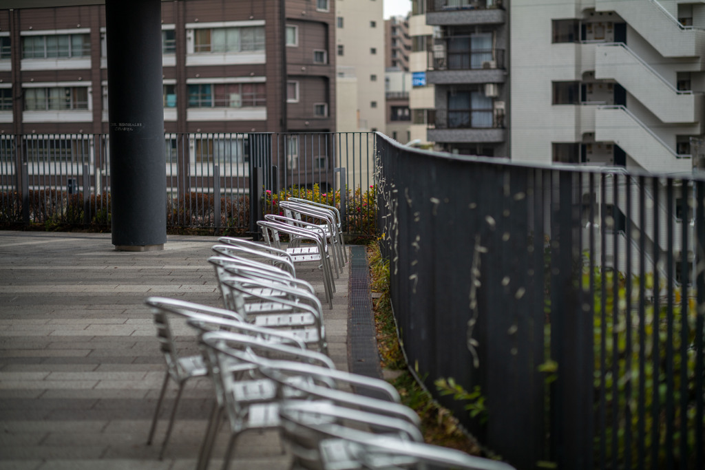 お散歩