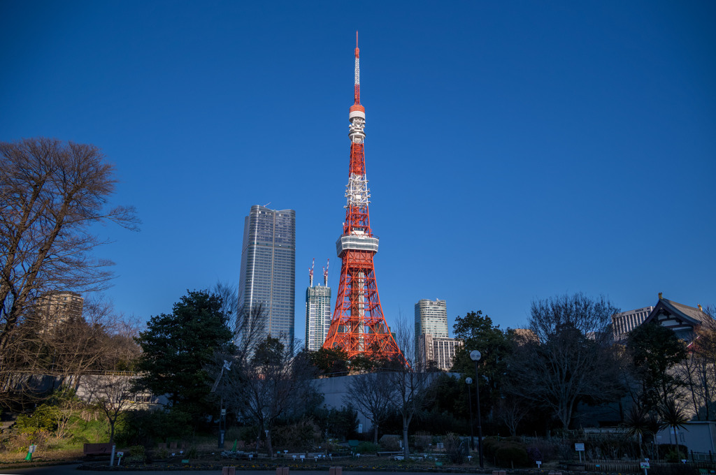 お散歩