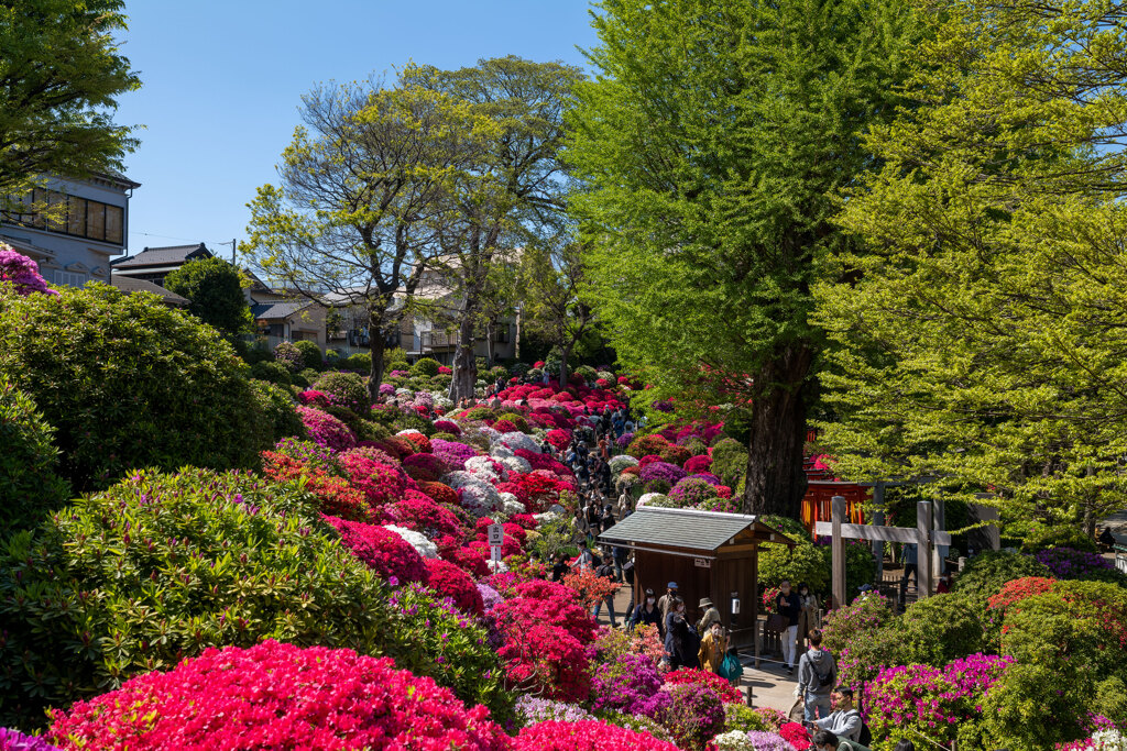 根津神社