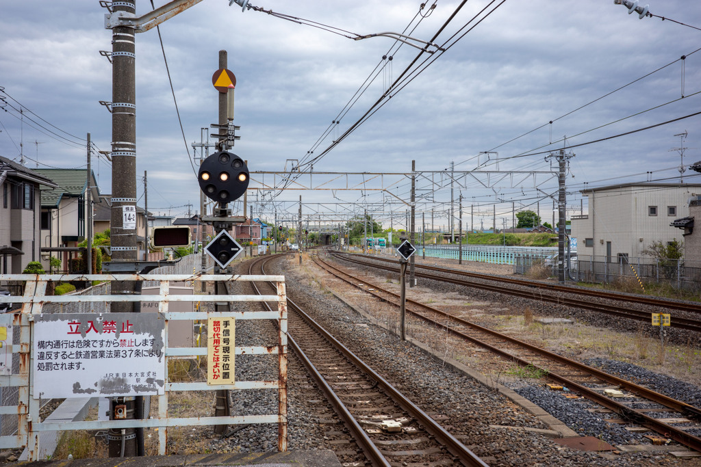 気まぐれ写真