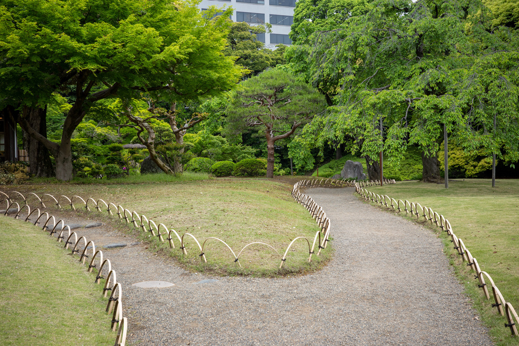 お散歩