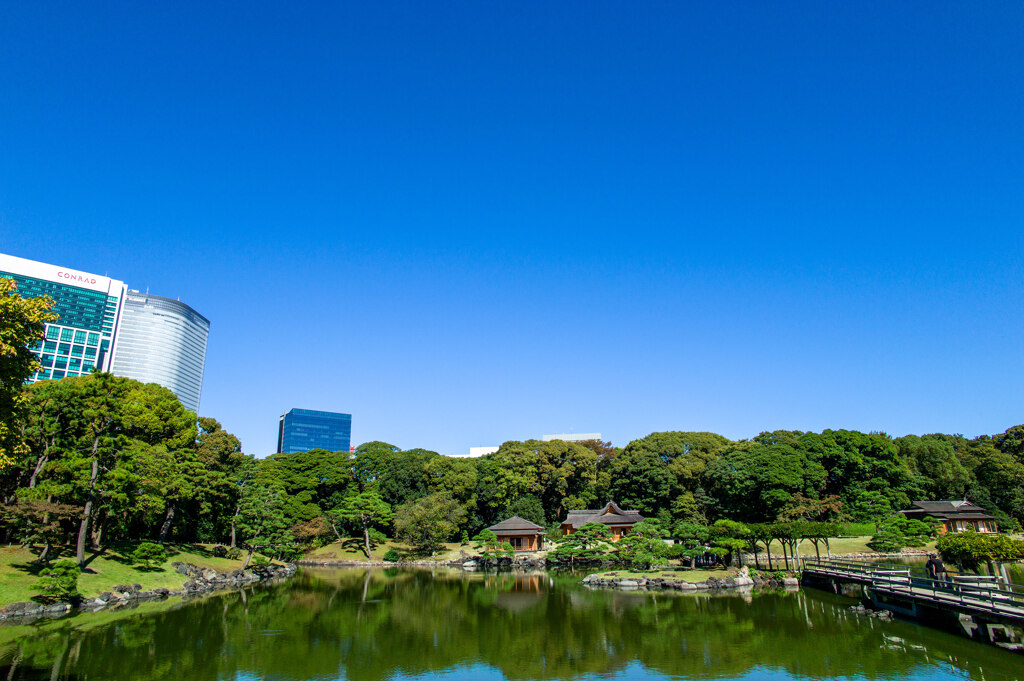 浜離宮恩賜庭園