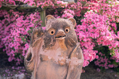 お散歩