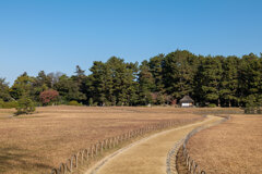 後楽園（岡山）