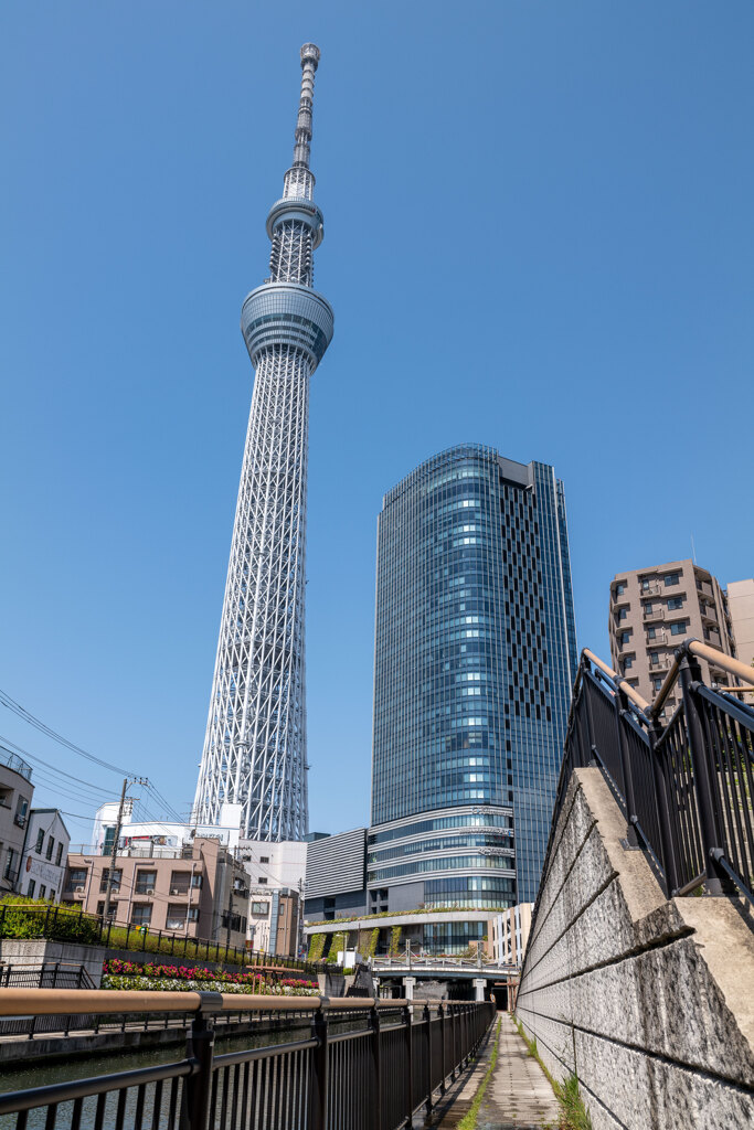 浅草にて