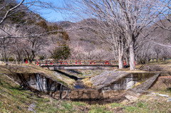 お散歩