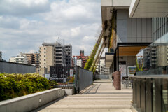 スカイツリーにて