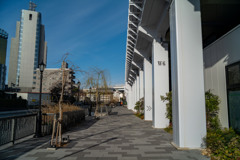 お散歩
