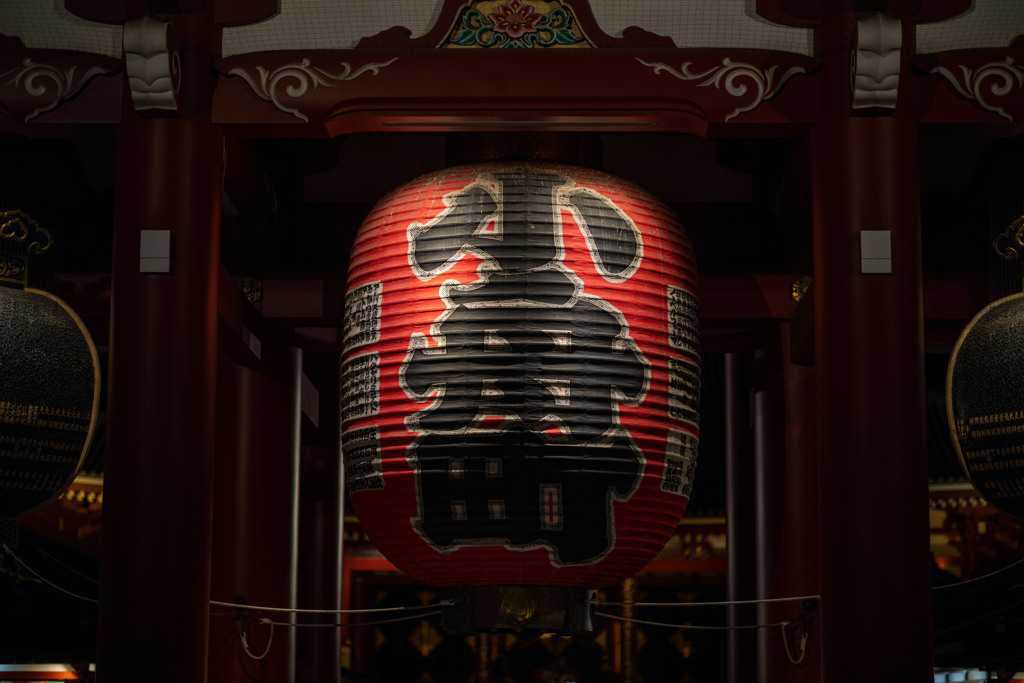 お散歩