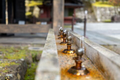 水飲み場
