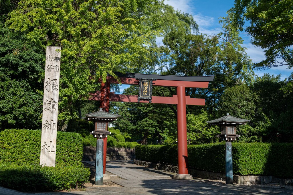 お散歩