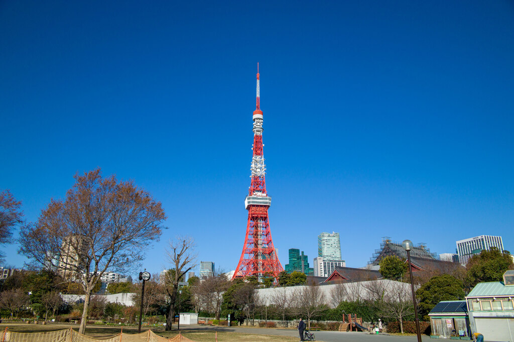 東京タワー