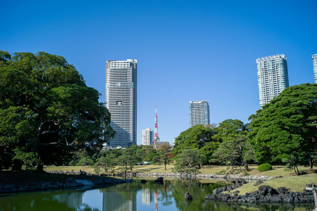 晩秋