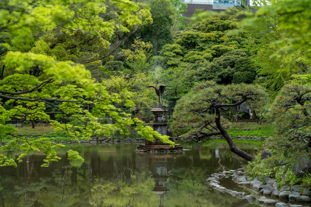 お散歩